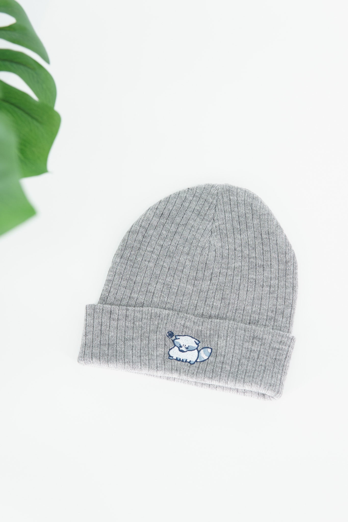 mister raccoon beanie